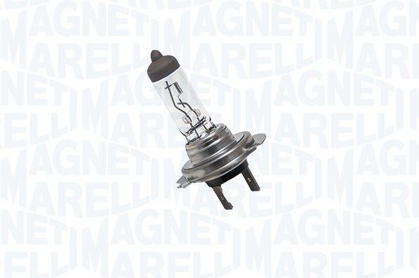 002557100000 Magneti Marelli Żarówka halogenowa